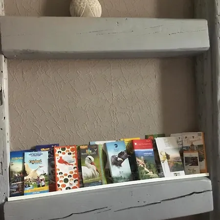 Appartement ô P'tit Bawla *